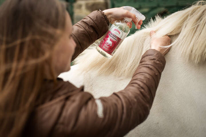 ZEDAN Bio-Ginkgo Shampoo 500ml